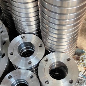 Stainless Steel Blind Flange