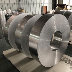Stainless Steel Strip